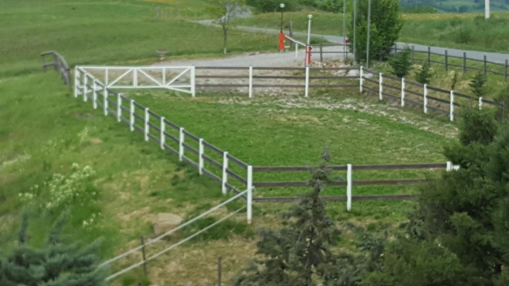 Allevamento B&B Pozzol Groppo Kültér fotó