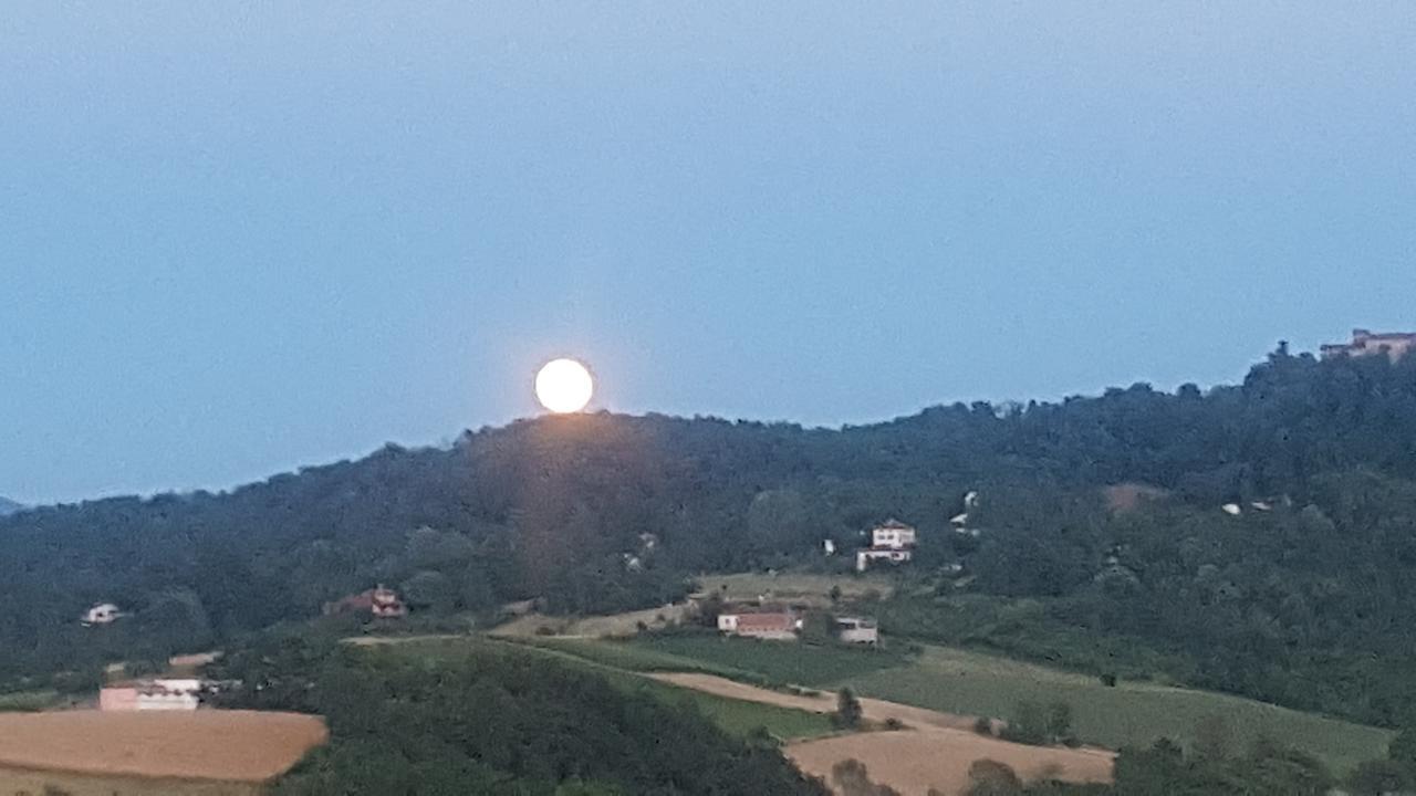 Allevamento B&B Pozzol Groppo Kültér fotó